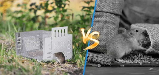 Automatic Multi-Catch Quiet Entry Mousetrap