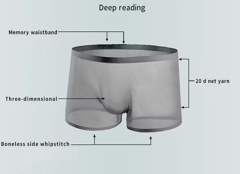 Men’s Sheer Mesh Boxer Briefs