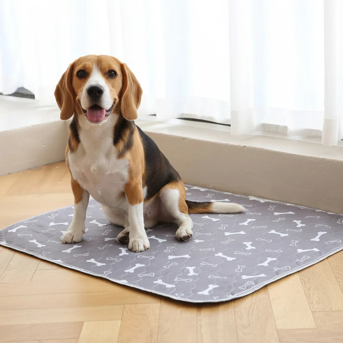 Reusable Pheromone-Infused Dog Training Pad