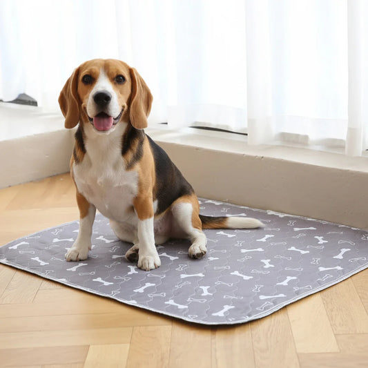 Reusable Pheromone-Infused Dog Training Pad