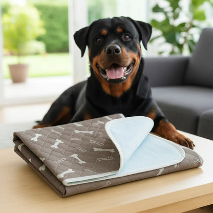 Reusable Pheromone-Infused Dog Training Pad