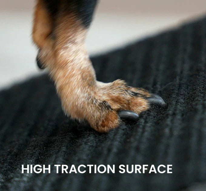2 in 1 Foldable Dog Ramp and Step Stool with Velvet Grip Surface