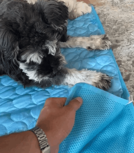 Pet Cooling Mat