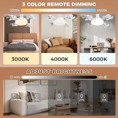 Ceiling Fan Light with Remote Control