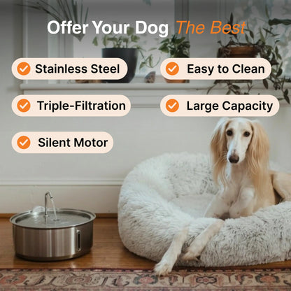 Stainless Steel Filtered Pet Water Fountain