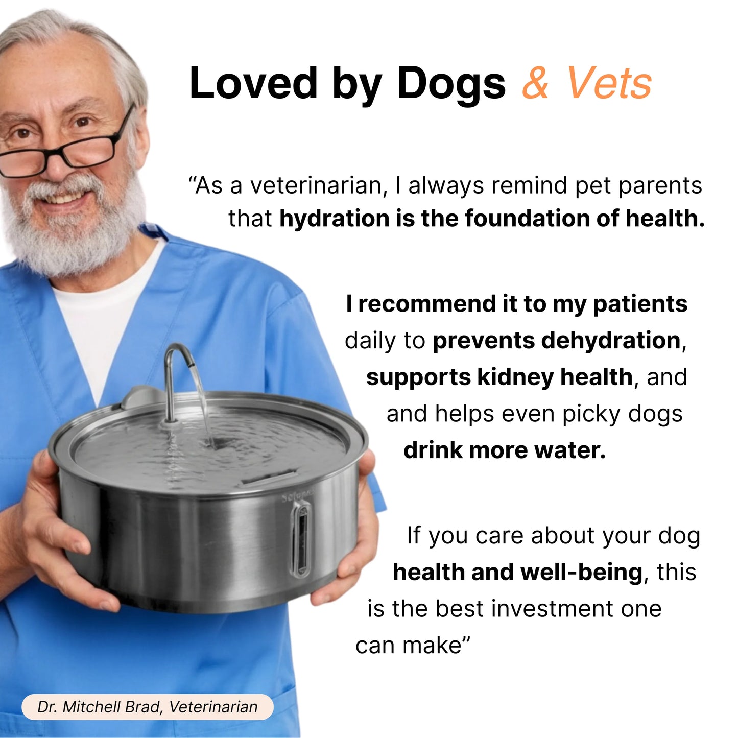 Stainless Steel Filtered Pet Water Fountain