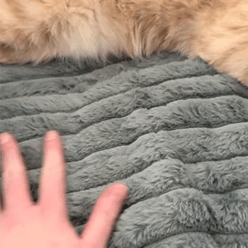 Self-Warming Thermal Pet Bed Mat with Heat-Reflective Core