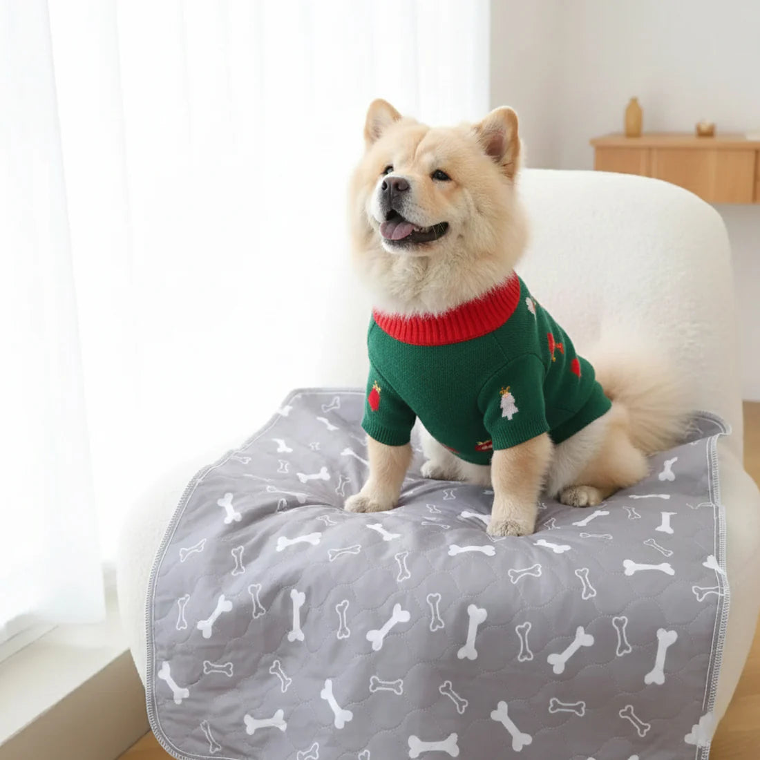 Reusable Pheromone-Infused Dog Training Pad