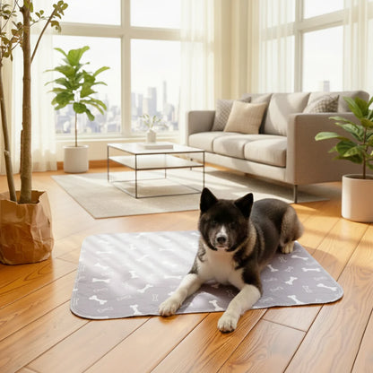Reusable Pheromone-Infused Dog Training Pad