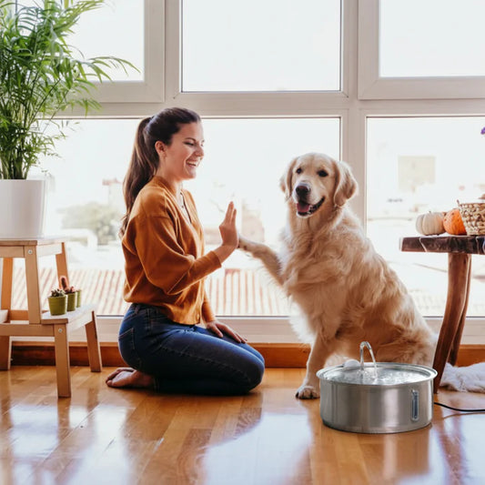 Stainless Steel Filtered Pet Water Fountain