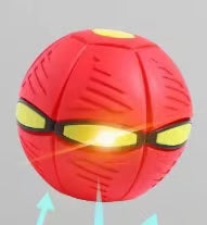 Doggy Disc Ball