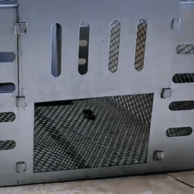 Automatic Multi-Catch Quiet Entry Mousetrap