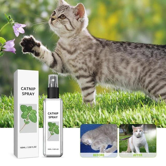 Herbal Joy Catnip Spray
