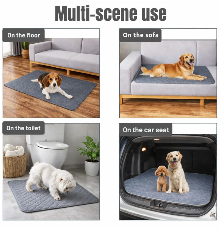 Dog Potty & Feeding Protection Mat