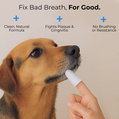 Pet Breath Freshening Dental Finger Wipes for Cats and Dogs