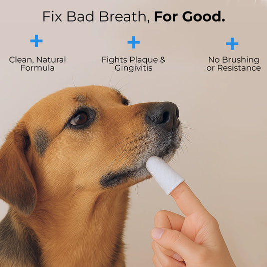 Pet Breath Freshening Dental Finger Wipes for Cats and Dogs