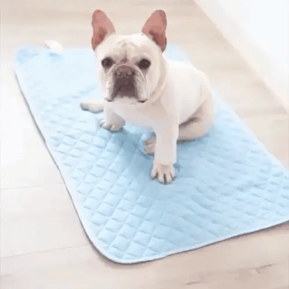 Pet Cooling Mat