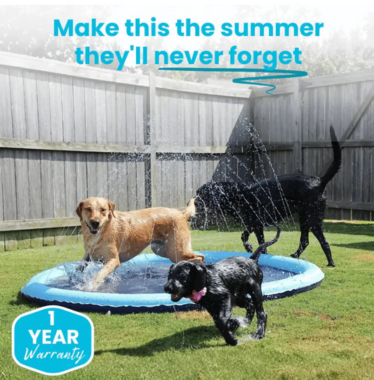 Dog Splash Pad