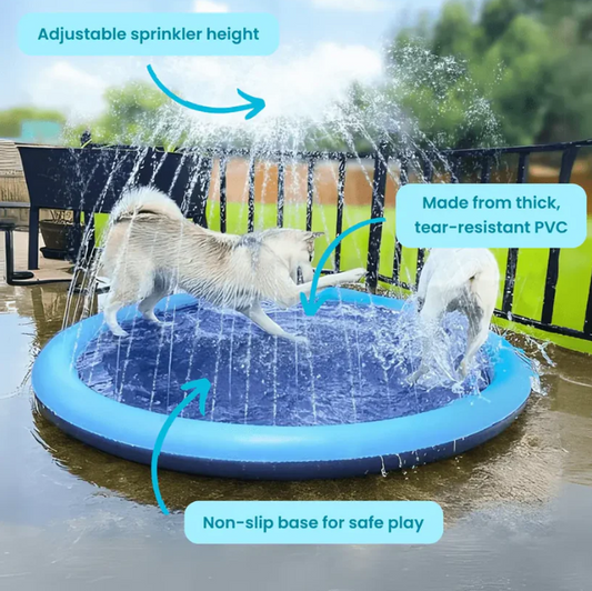 Dog Splash Pad