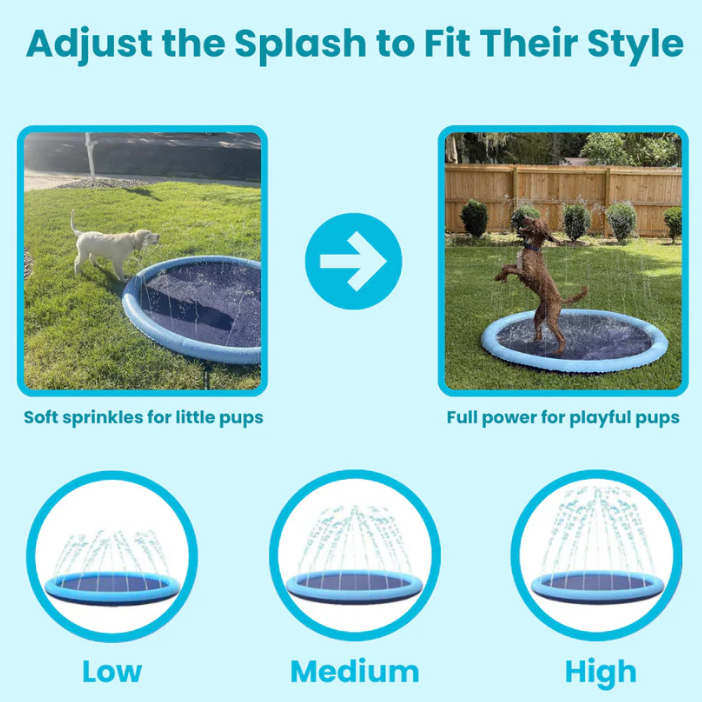Dog Splash Pad