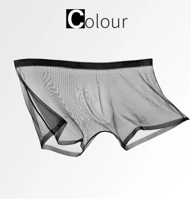Men’s Sheer Mesh Boxer Briefs