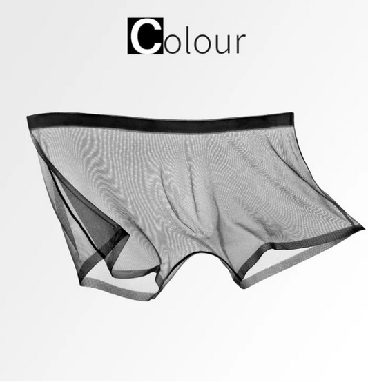 Men’s Sheer Mesh Boxer Briefs