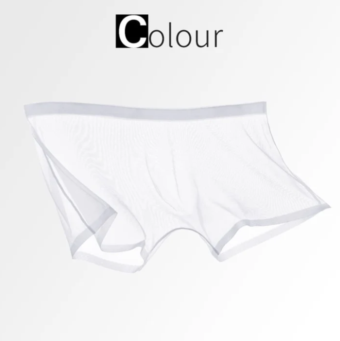 Men’s Sheer Mesh Boxer Briefs