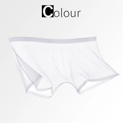 Men’s Sheer Mesh Boxer Briefs