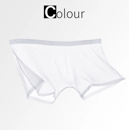 Men’s Sheer Mesh Boxer Briefs