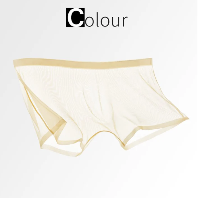 Men’s Sheer Mesh Boxer Briefs