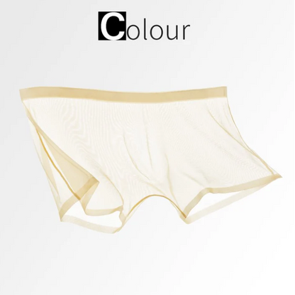 Men’s Sheer Mesh Boxer Briefs