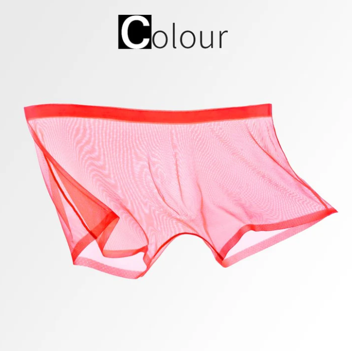 Men’s Sheer Mesh Boxer Briefs