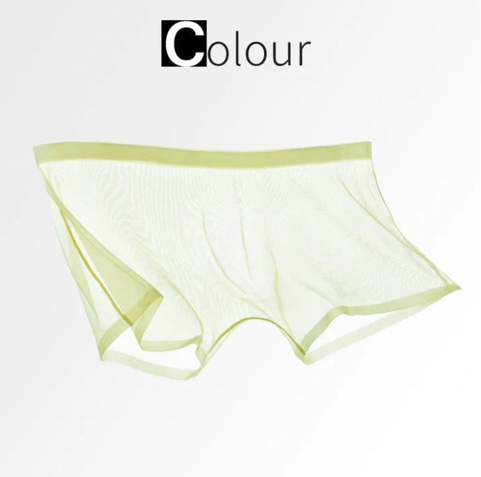 Men’s Sheer Mesh Boxer Briefs