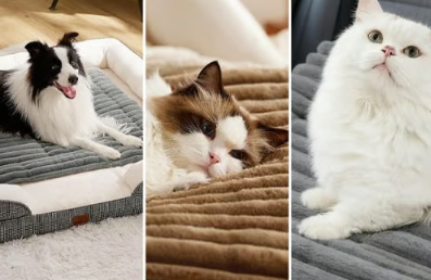 Self-Warming Thermal Pet Bed Mat with Heat-Reflective Core
