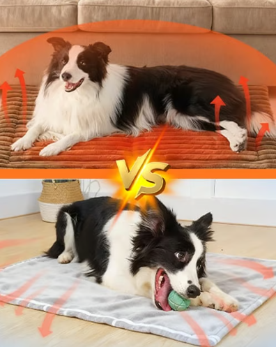 Self-Warming Thermal Pet Bed Mat with Heat-Reflective Core