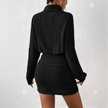 Women’s Ribbed Turtleneck Ruched Knit Bodycon Dress