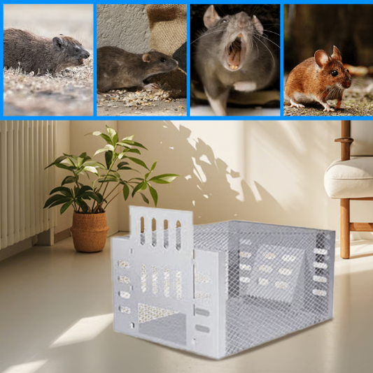 Automatic Multi-Catch Quiet Entry Mousetrap