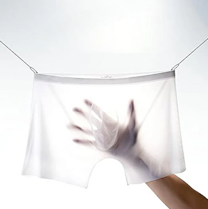 Men’s Sheer Mesh Boxer Briefs