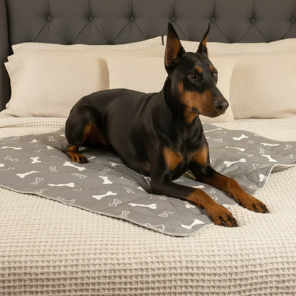 Reusable Pheromone-Infused Dog Training Pad