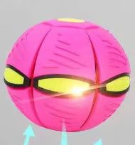 Doggy Disc Ball