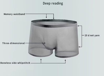Men’s Sheer Mesh Boxer Briefs