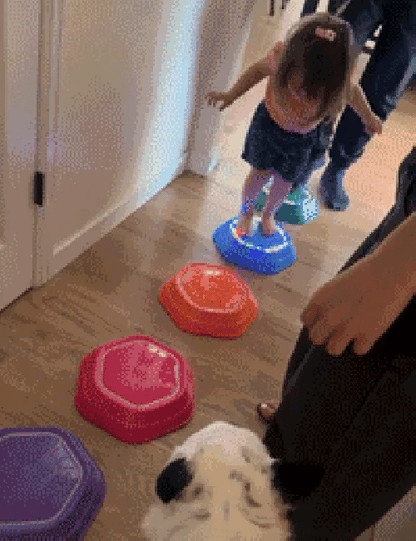 Interactive Musical Stepping Stones – 5-Piece Set