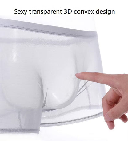 Men’s Sheer Mesh Boxer Briefs