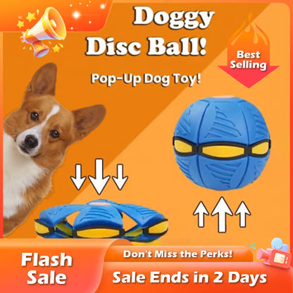 Doggy Disc Ball