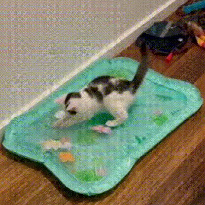 Ocean Play Water Mat for Cats