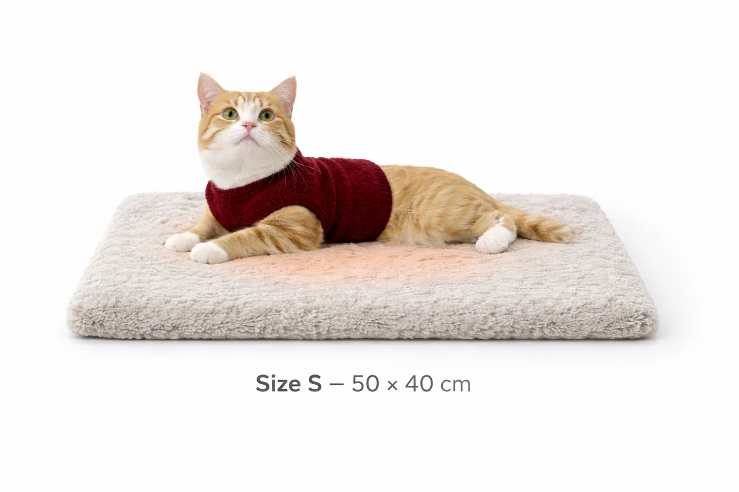 Self-Heating Reflective Pet Mat