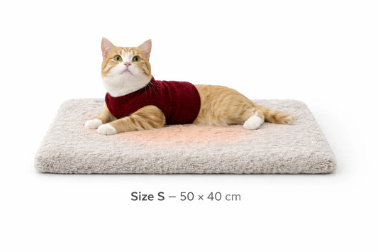 Self-Heating Reflective Pet Mat