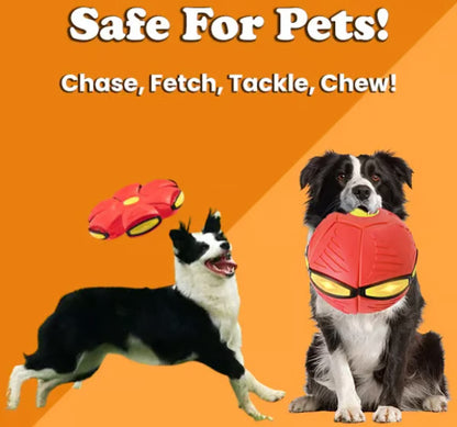 Doggy Disc Ball