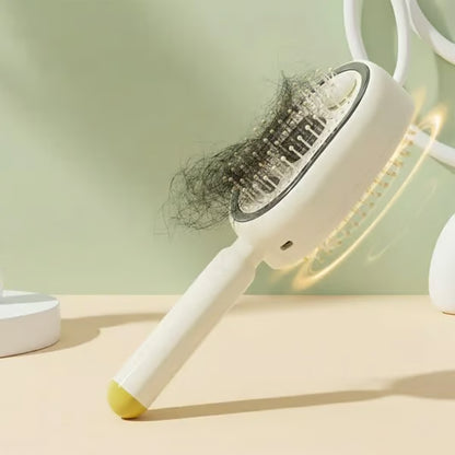 Electric Mist Air Cushion Hairbrush