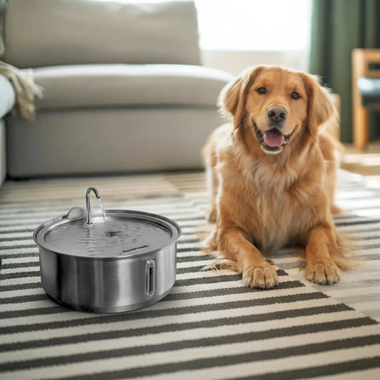 Stainless Steel Filtered Pet Water Fountain